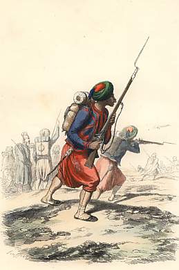 Algerian Zouaves