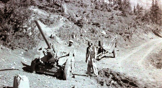 Afghans with captured Soviet artillery