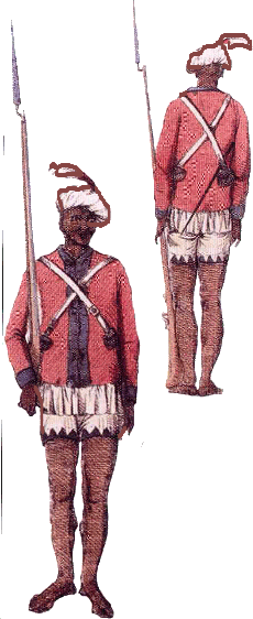 sepoys of the C18