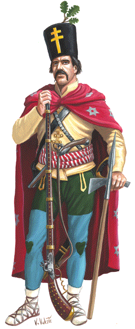 C18 Serb Pandour