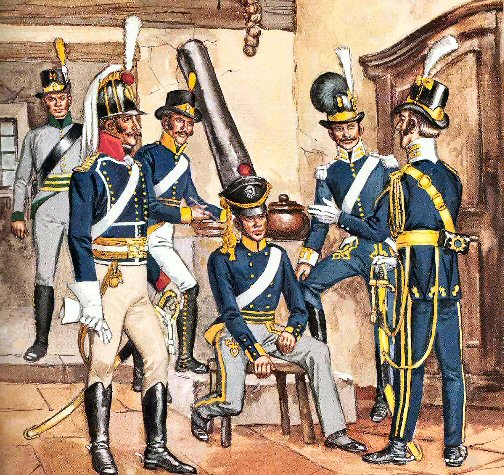 swedish troops of the Napoleonic Wars