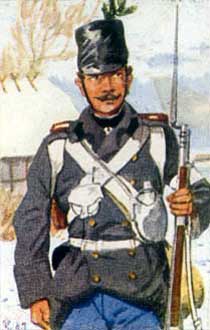 Austrian Regt 14 1866