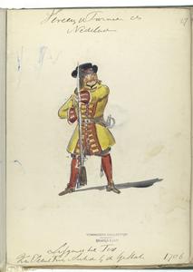 dutch yellowcoat C18